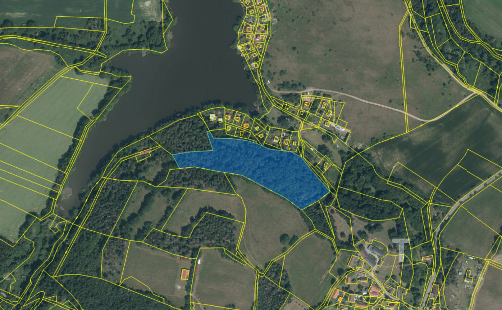Prodej lesa 19 533 m² – fotografie 3