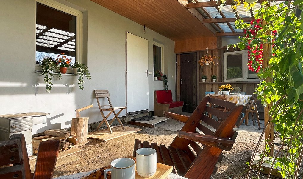 Prodej zahrady 2 826 m², Číhošť – náhled fotky 8