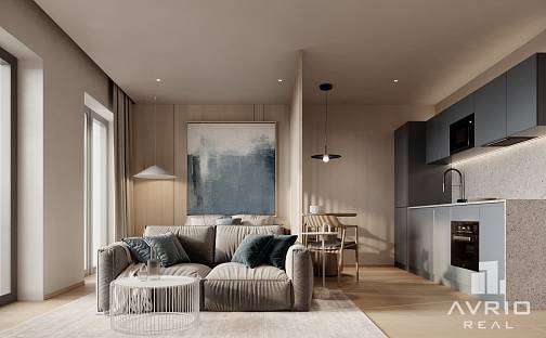 Prodej bytu 1+kk 32 m², Vranovská, Brno - Husovice