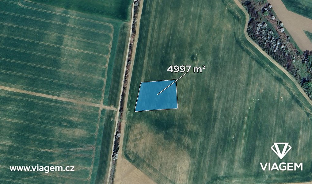 Prodej pole 2 498 m², Litenčice – náhled fotky 2