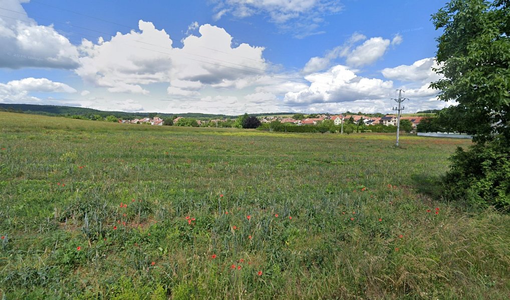 Prodej pole 1 178 m², Prštice – náhled fotky 2
