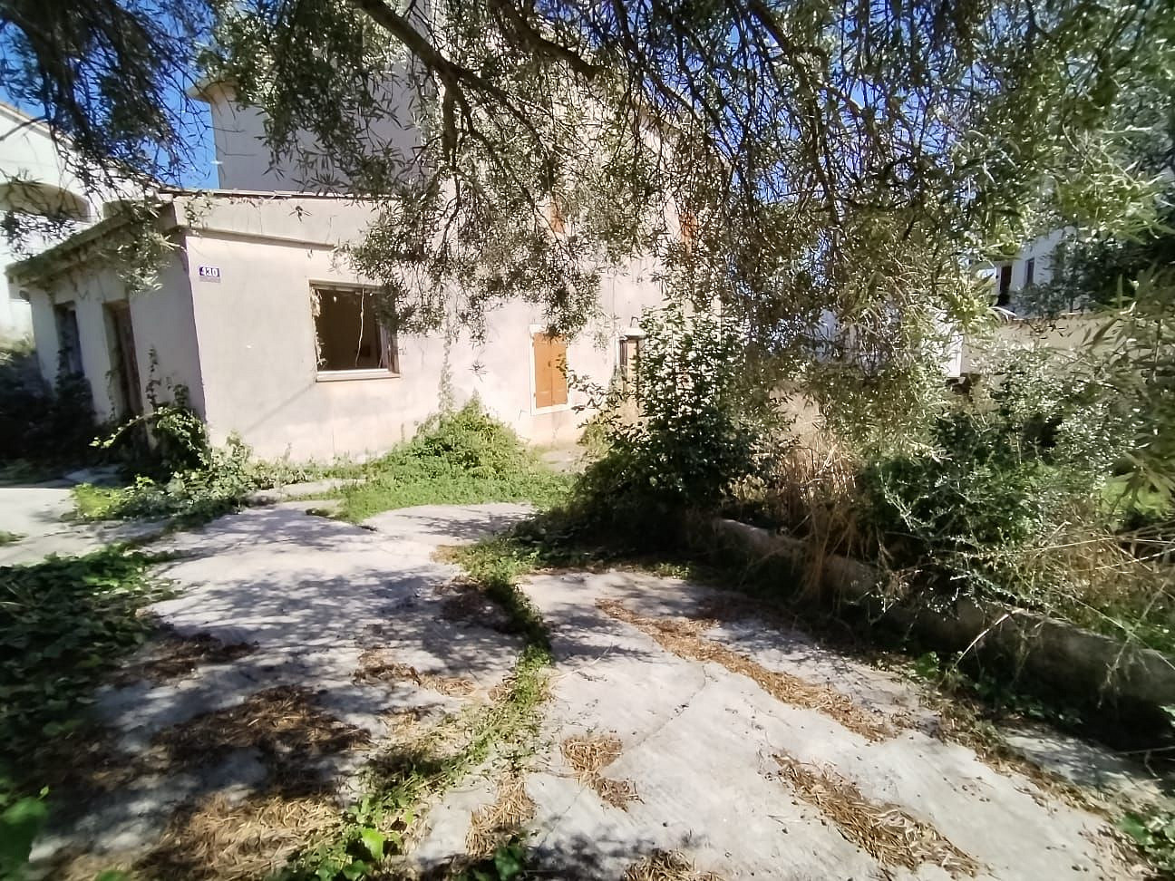 Fotka 9 z 16