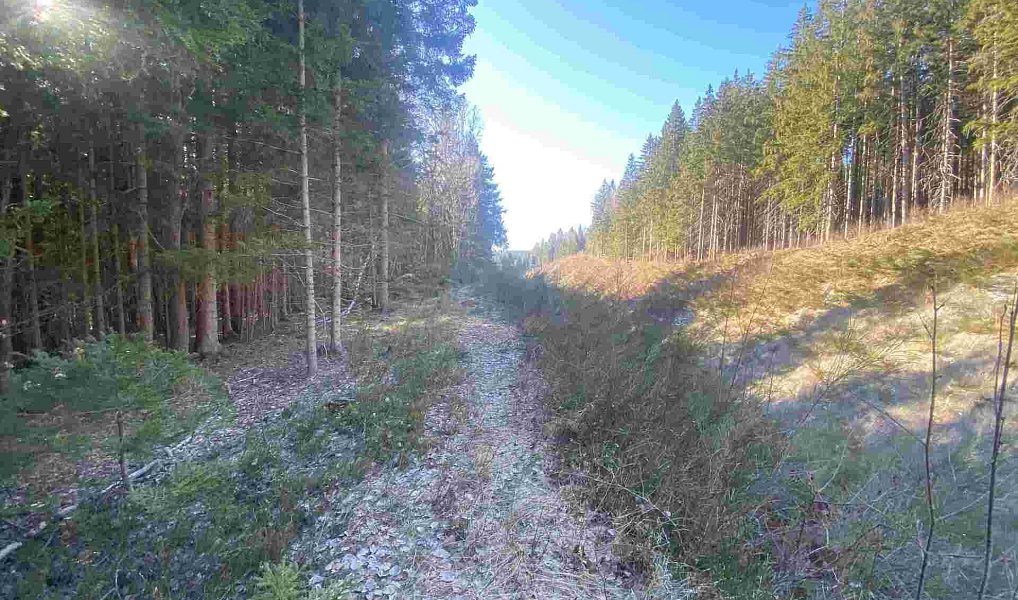 Prodej pole 1 644 m², Železná Ruda – náhled fotky 4