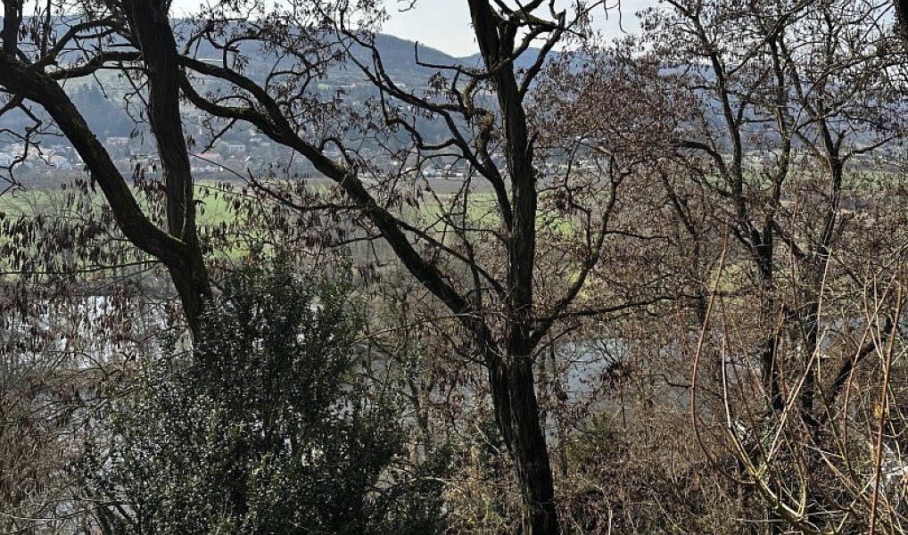 Prodej domu 41 m² s pozemkem 334 m², Černošice – náhled fotky 22
