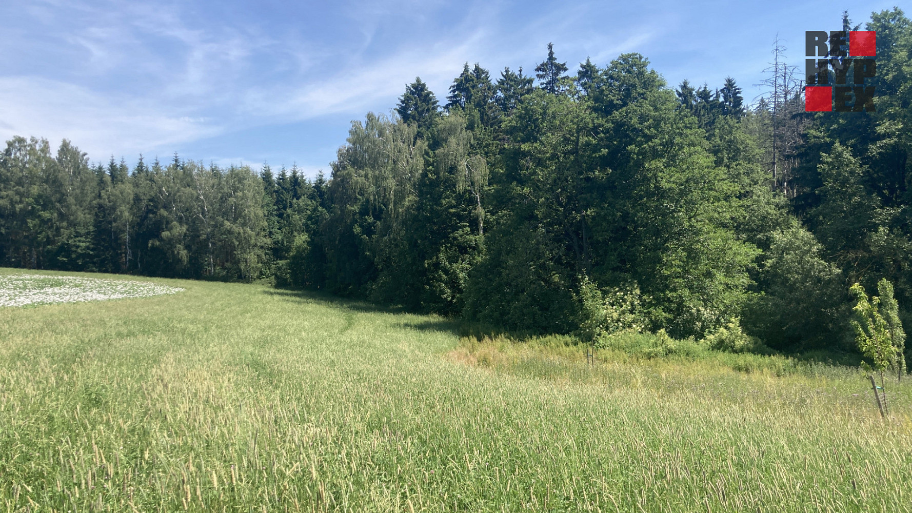 Prodej pole 3 130 m²
