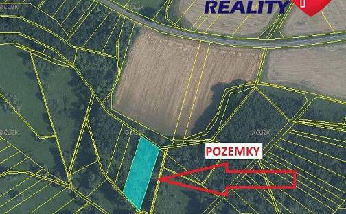 Prodej lesa 3 123 m², Hlučínská, Kravaře - Kouty, okres Opava