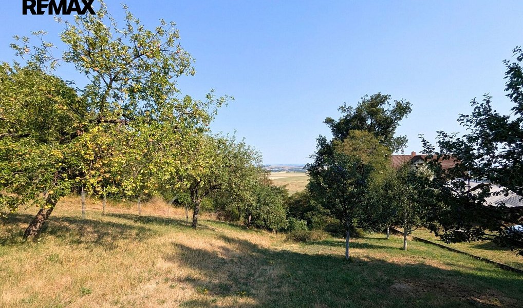 Prodej zahrady 1 754 m², Viničné Šumice – náhled fotky 2