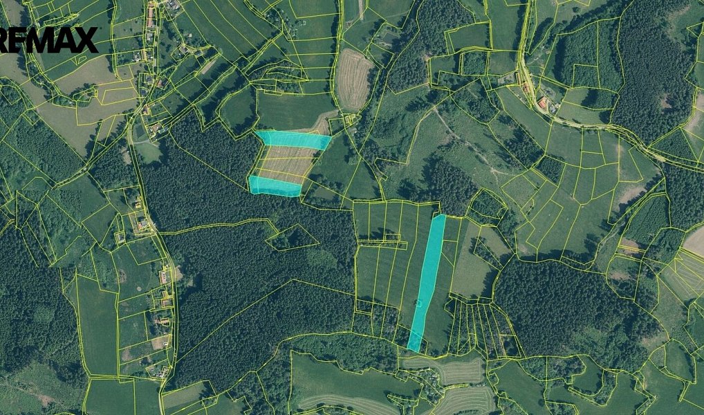 Prodej pozemku 16 922 m², Nová Ves – náhled fotky 3