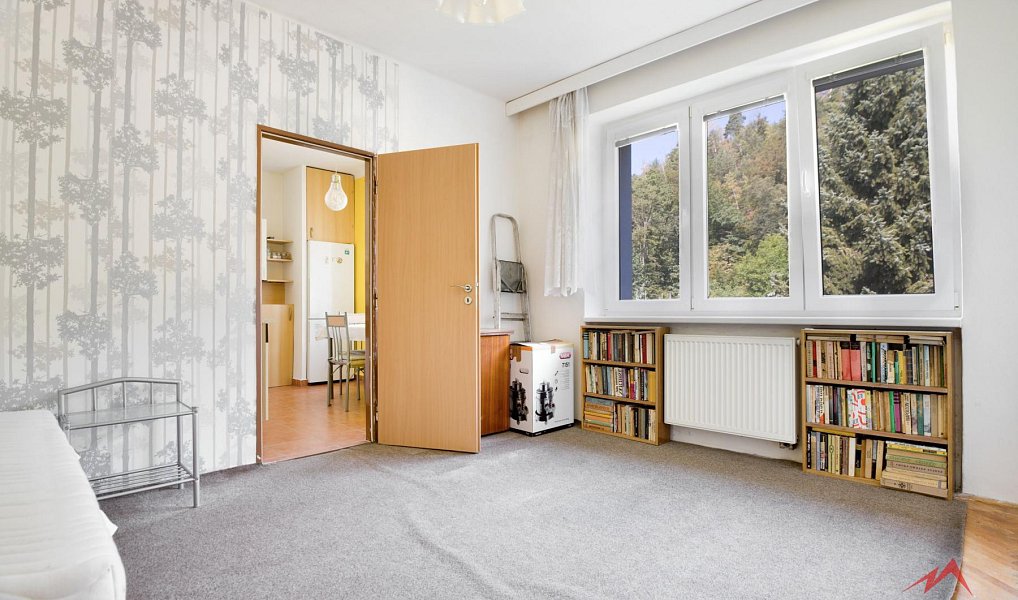 Prodej bytu 3+1 64 m², Děčín – náhled fotky 9