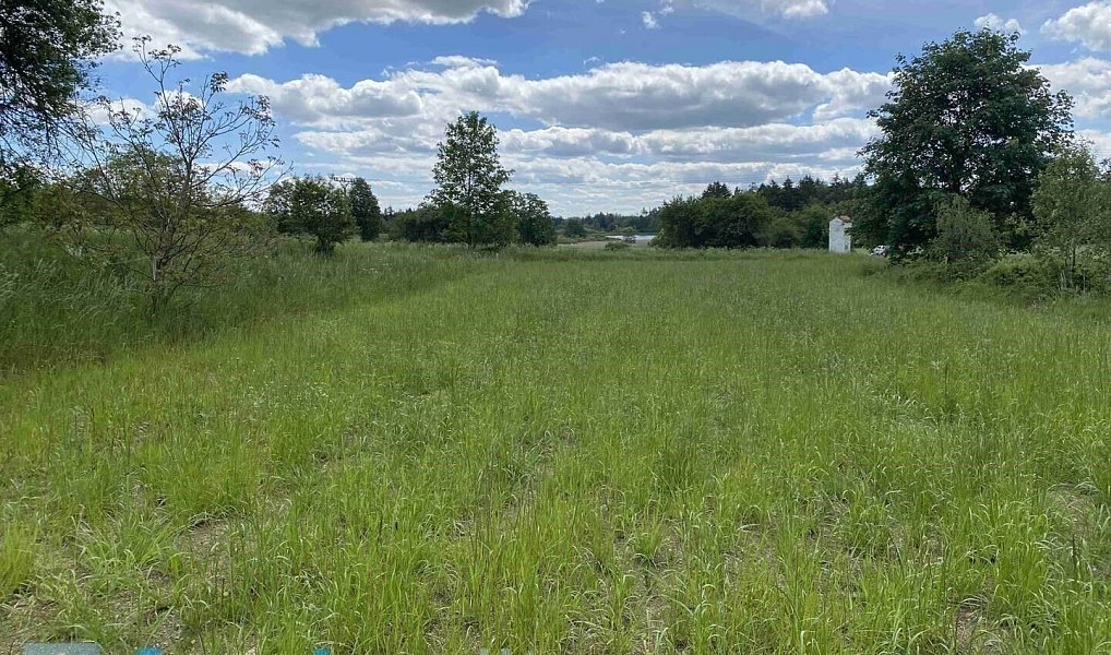 Prodej pozemku 7 893 m², Slavonice – náhled fotky 4