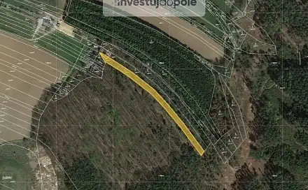 Prodej lesa 1 396 m², Boskovice, okres Blansko