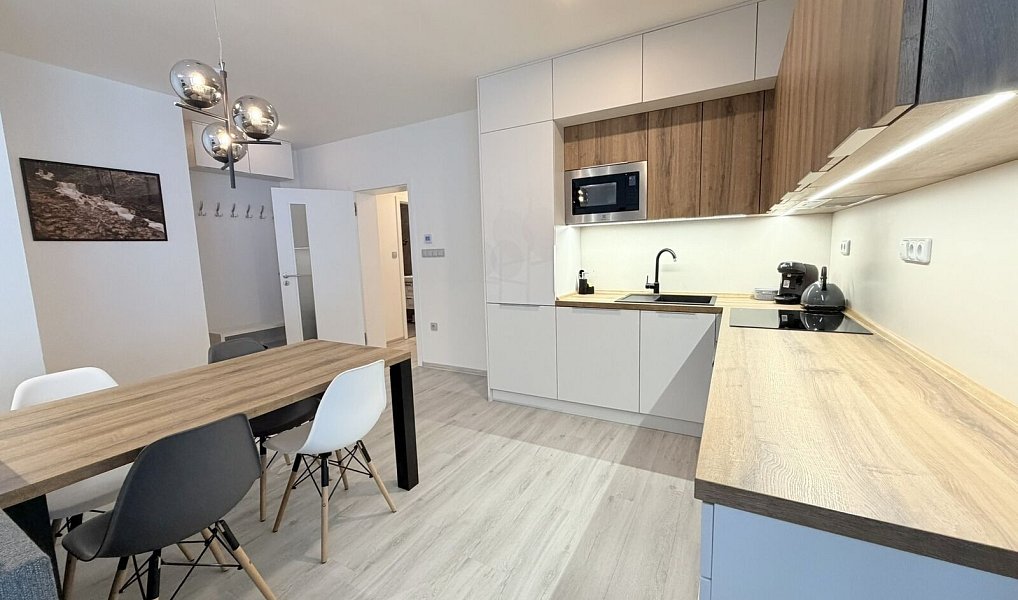 Prodej bytu 2+kk 59 m², Velké Karlovice – náhled fotky 6