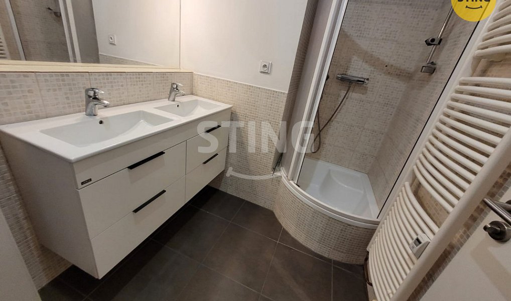 Pronájem bytu 1+1 39 m², Ostrava – náhled fotky 4