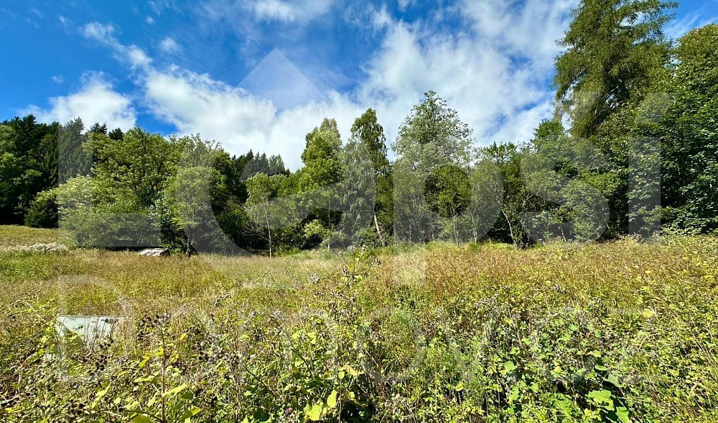 Prodej stavebního pozemku 1 379 m², Lipová-lázně – náhled fotky 3