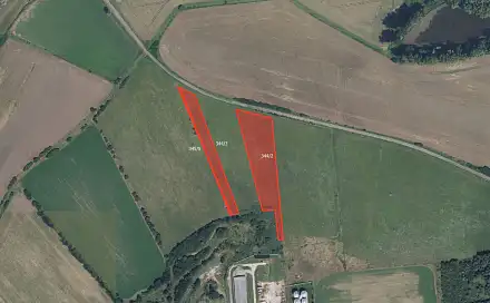 Prodej louky 6 962 m², Libáň - Psinice, okres Jičín