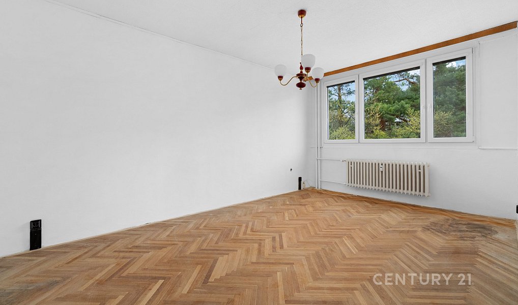 Prodej bytu 3+1 70 m², Brno – náhled fotky 13
