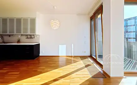 Pronájem bytu 3+kk 76 m², Olgy Havlové, Praha 3 - Žižkov