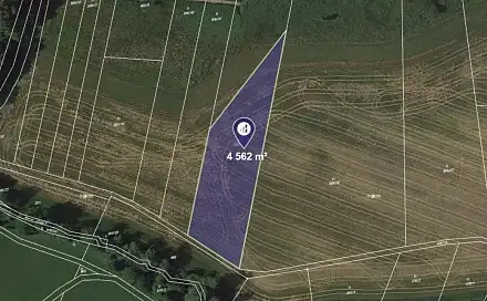 Prodej louky 4 562 m², Hrubá Skála, okres Semily