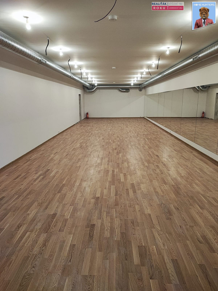 Pronájem obchodních prostor 540 m²