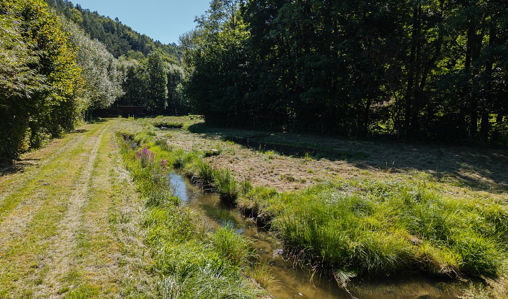 Prodej vodní plochy 8 295 m², Nové Hrady – náhled fotky 12