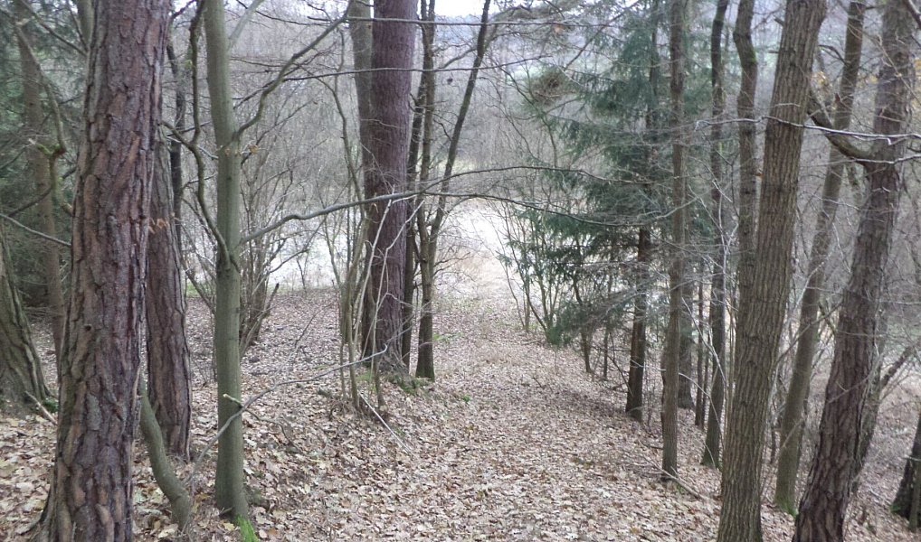 Prodej lesa 28 299 m², Křečovice – náhled fotky 3