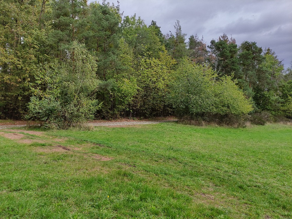 Prodej lesa 14 980 m² – pohled 5