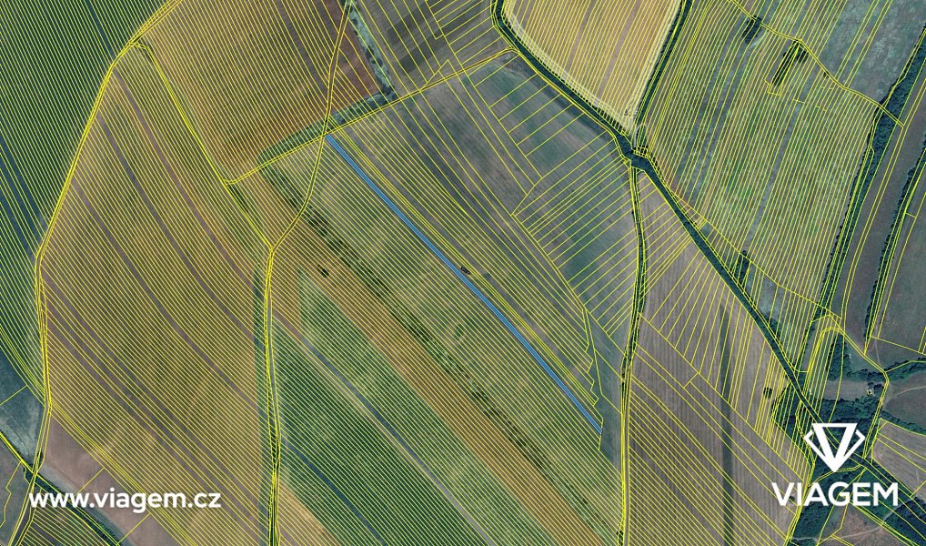 Prodej pole 2 376 m², Velká nad Veličkou – náhled fotky 4