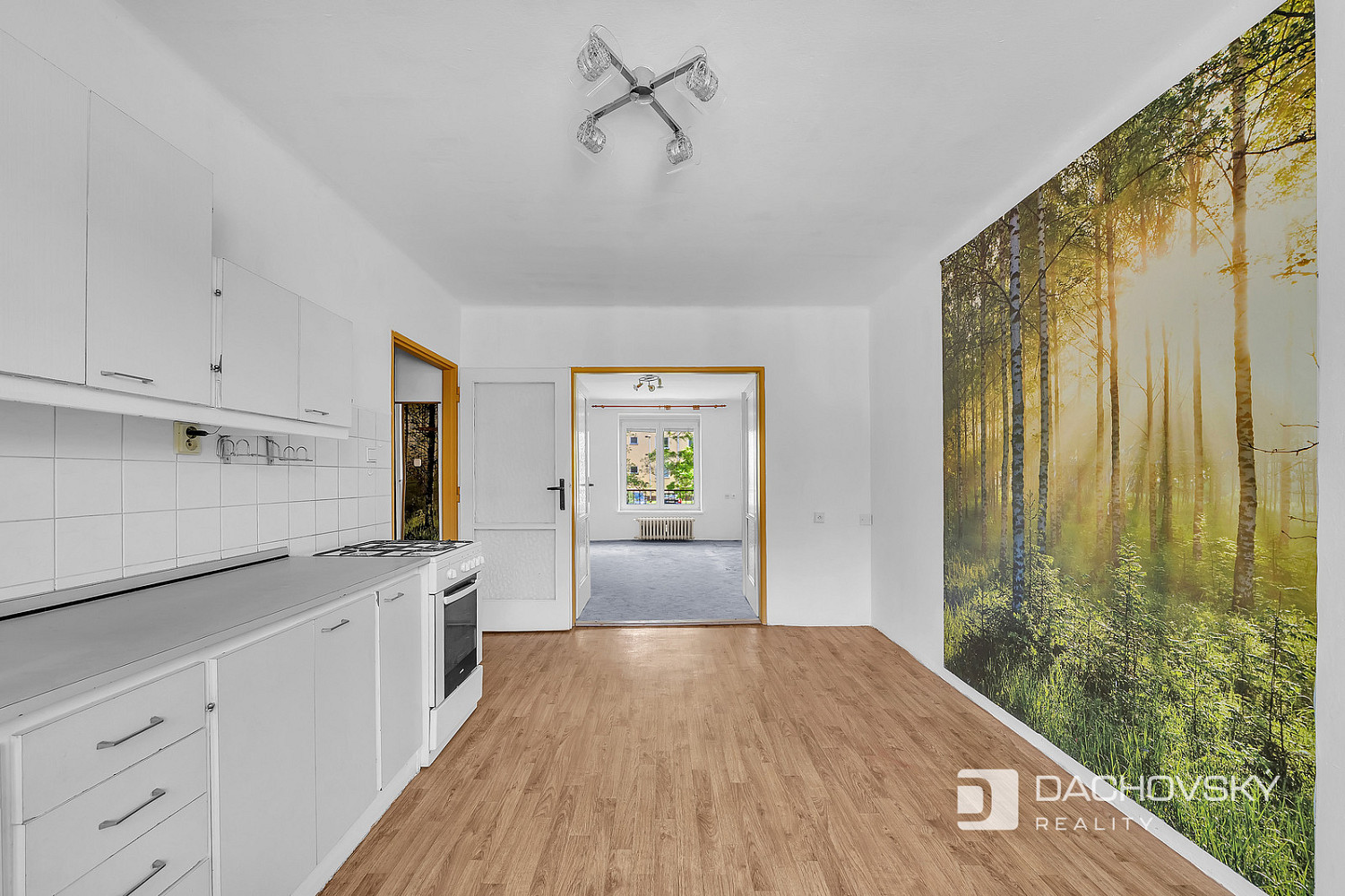 Prodej bytu 2+1 53 m² - Widok 5