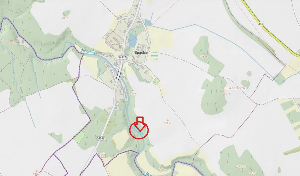 Prodej lesa 1 370 m², Borek – náhled fotky 9
