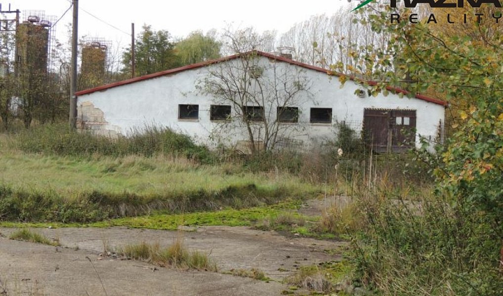 Prodej zemědělského objektu 5 633 m², Přimda – náhled fotky 5