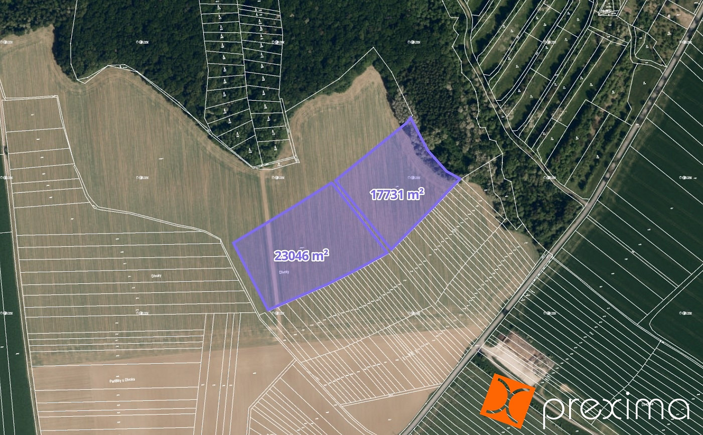 Prodej pole 1 937 m² – fotografie 3