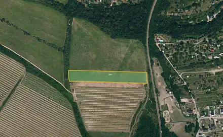 Prodej pole 8 035 m², Nový Šaldorf-Sedlešovice - Sedlešovice, okres Znojmo