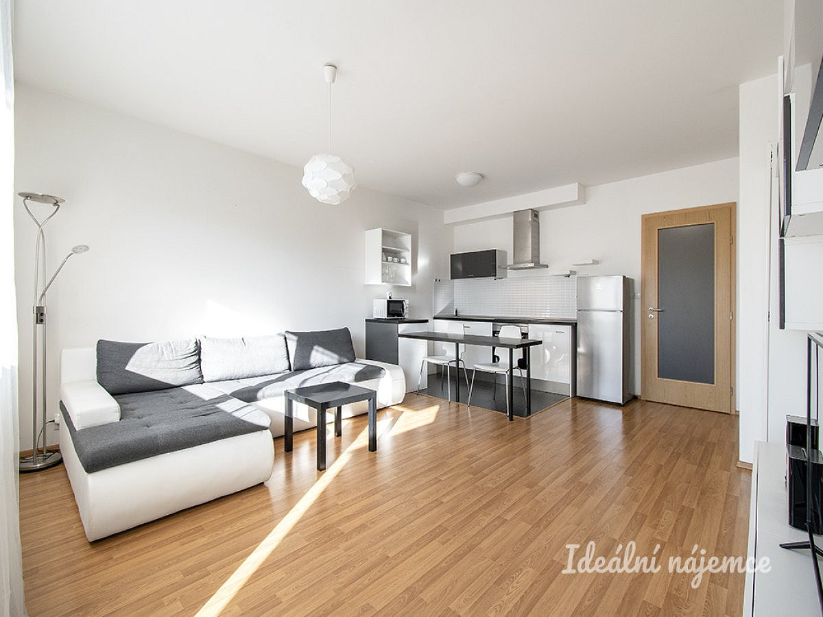 Pronájem bytu 1+kk 42 m² – fotografie 2