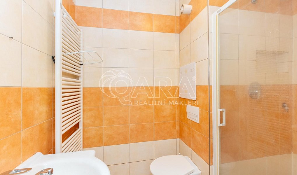 Prodej bytu 3+1 55 m², Jistebnice – náhled fotky 19