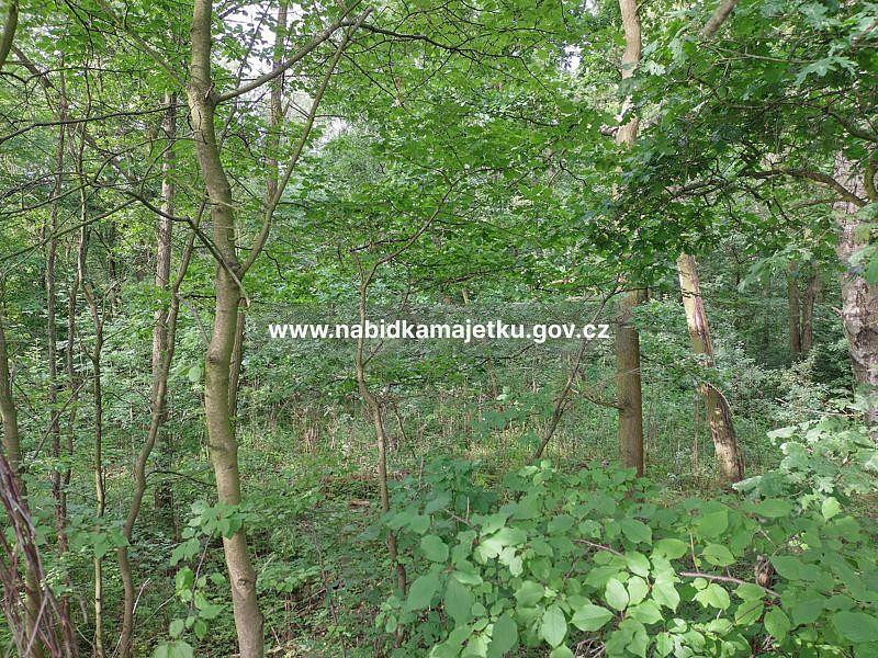 Prodej pozemku 8 754 m² – fotografie 3