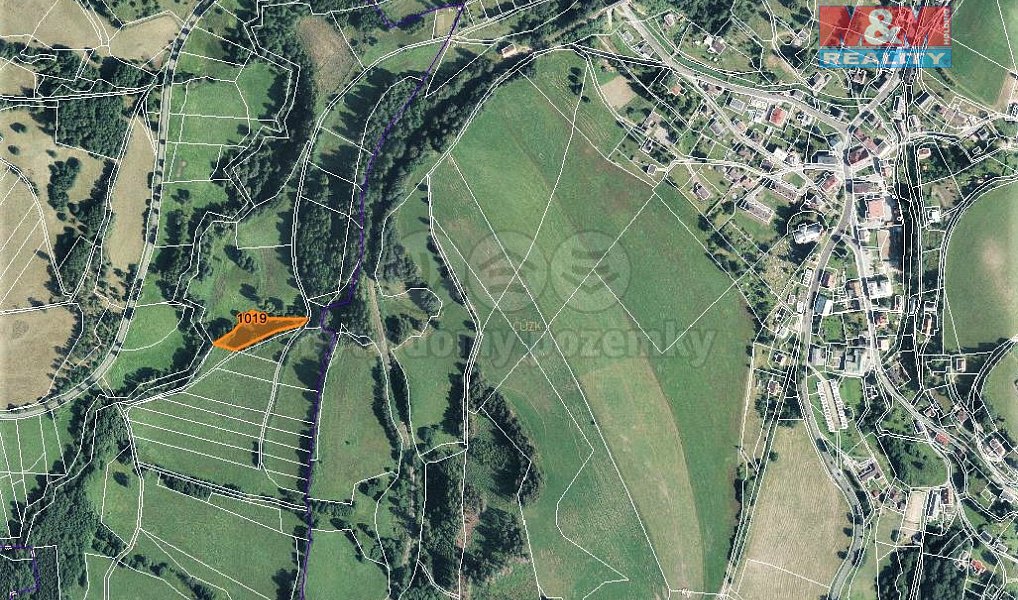 Prodej louky 2 455 m², Bernartice – náhled fotky 3