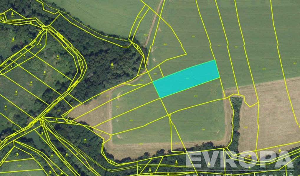 Prodej pole 6 844 m², Křenice – náhled fotky 3