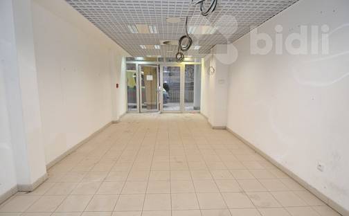Pronájem obchodních prostor 43 m², Lukášova, Praha 3 - Žižkov