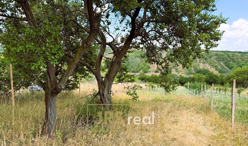 Prodej pole 358 m², Němčičky – náhled fotky 8