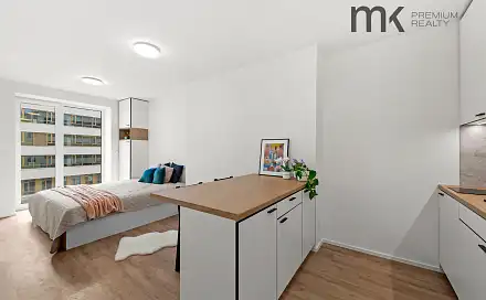 Pronájem bytu 1+kk 27 m², Na bitevní pláni, Praha 4 - Nusle