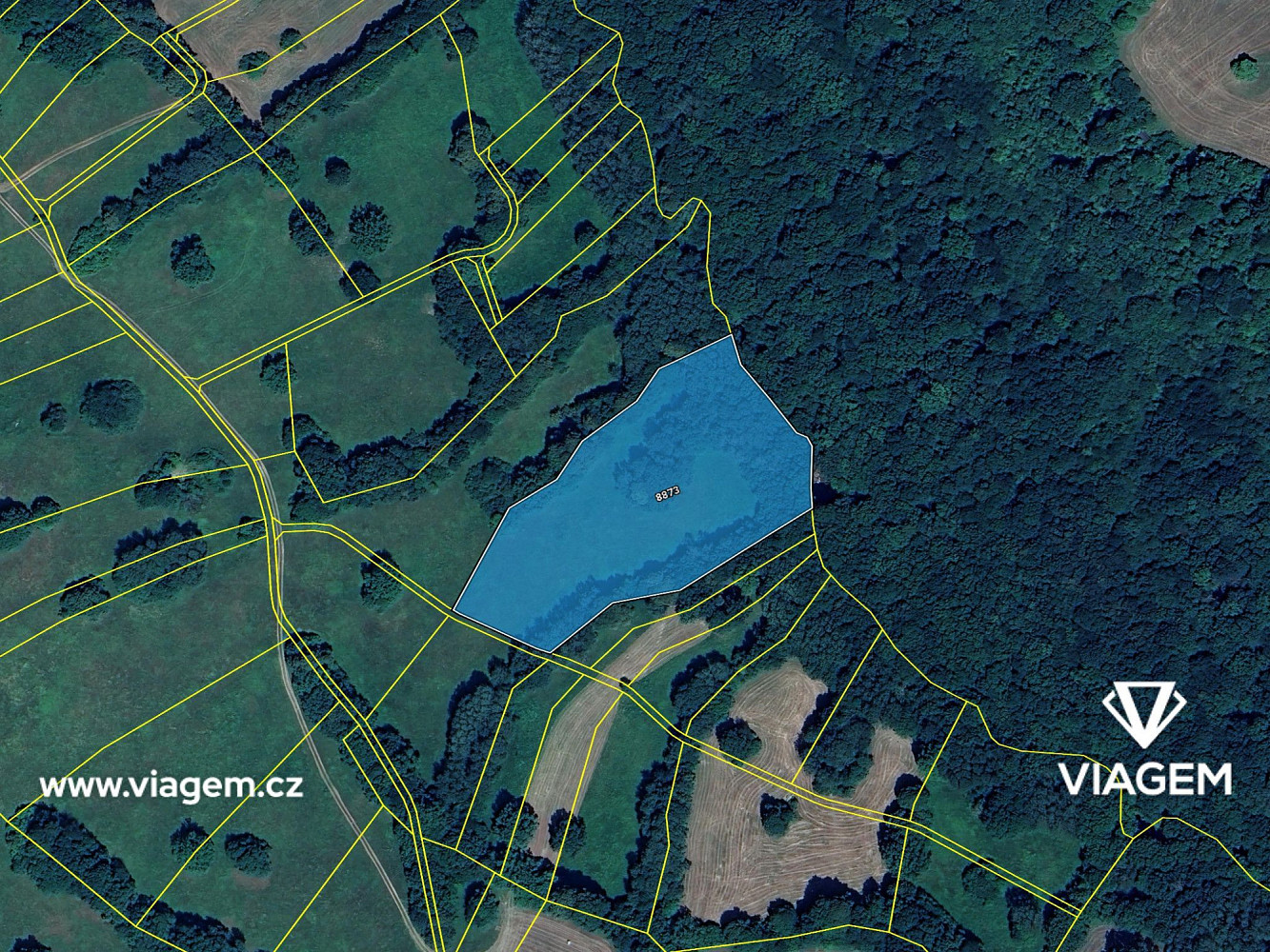 Prodej pole 2 814 m² – fotografie 4