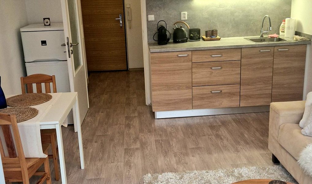Pronájem bytu 1+kk 23 m², Luhačovice – náhled fotky 4