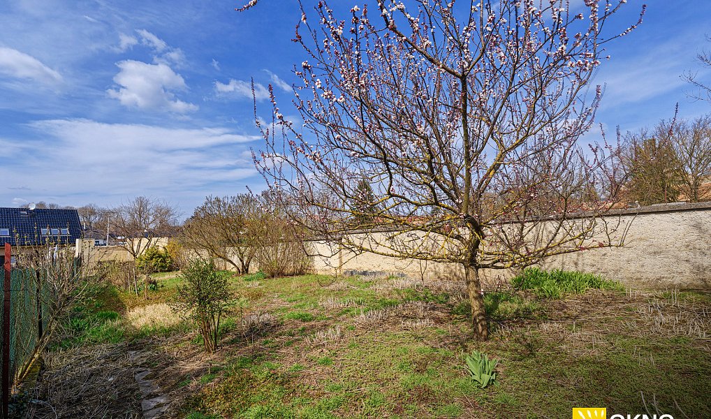 Prodej domu 600 m² s pozemkem 1 240 m², Hrubčice – náhled fotky 18