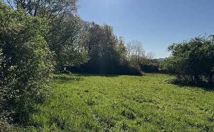 Prodej pozemku 20 250 m², Nýřany, okres Plzeň-sever