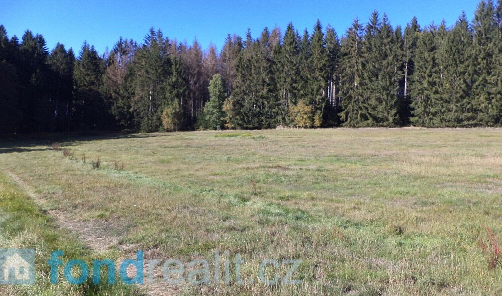 Prodej pozemku 4 992 m², Studená – náhled fotky 2