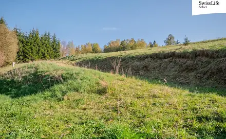Prodej stavebního pozemku 977 m², Suchý Důl, okres Náchod