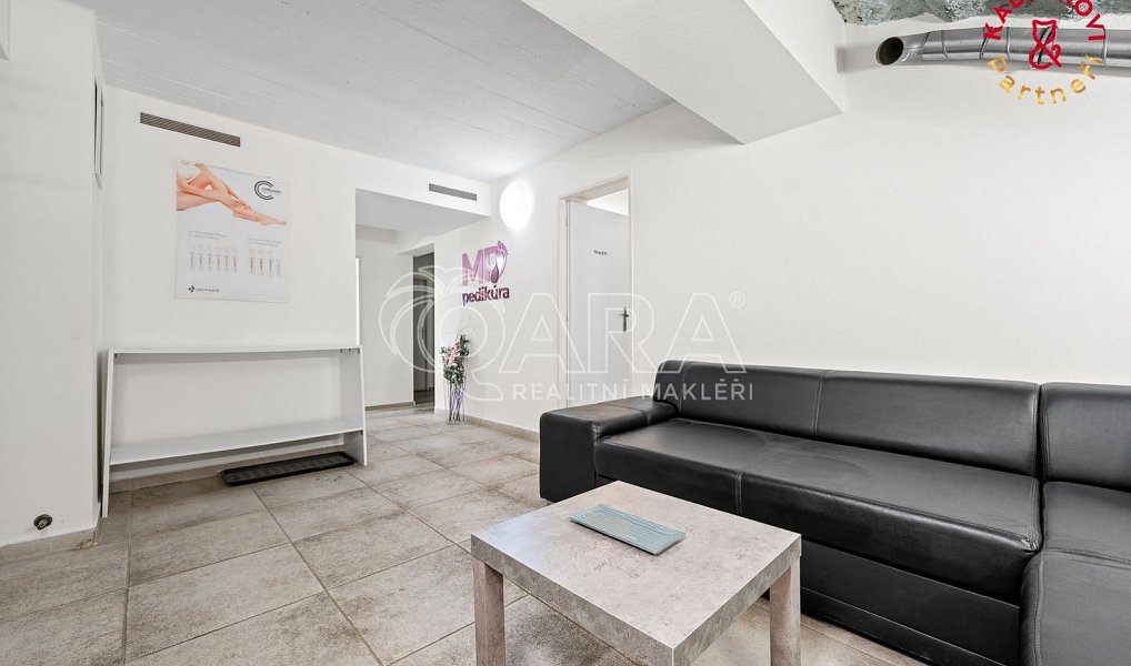 Prodej obchodních prostor 172 m², Brno – náhled fotky 4