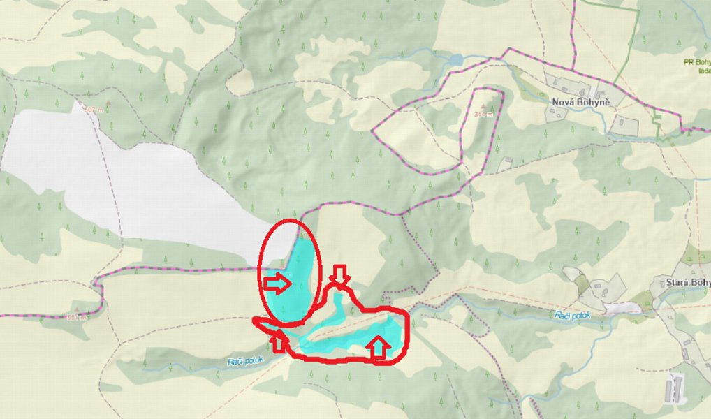 Prodej lesa 44 008 m², Jílové – náhled fotky 13