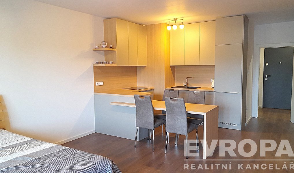 Pronájem bytu 1+kk 49 m², Praha – náhled fotky 3