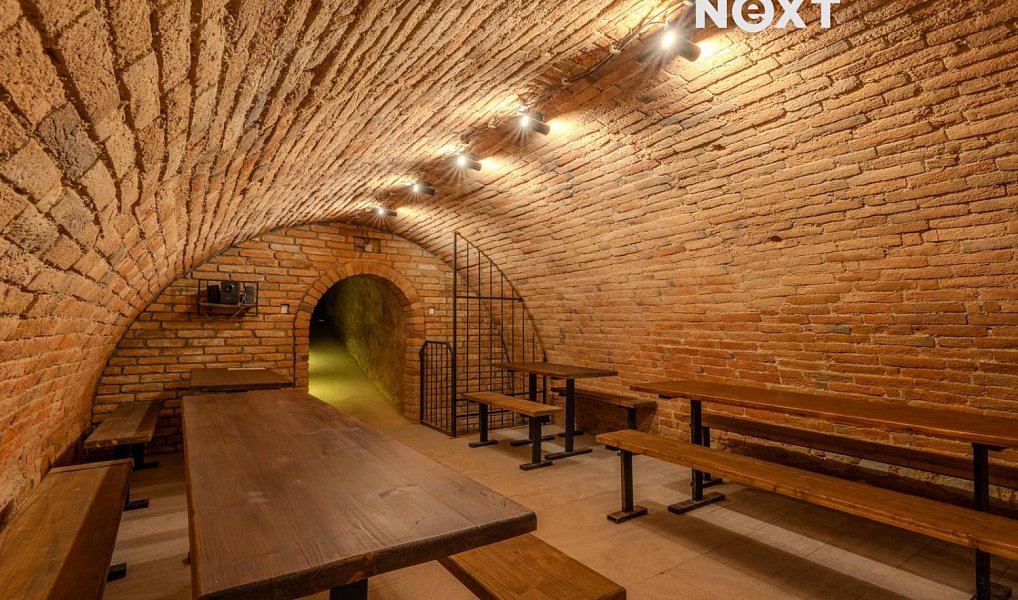 Prodej ostatní Vinný sklep, 43m2, Bulhary, Bulhary – náhled fotky 24